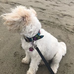 Meet your Posher, Tina